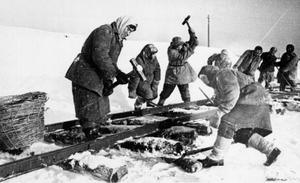 Строительство узкоколейки на Каринторф. 1940-е гг. Фото Л. Шишкина
